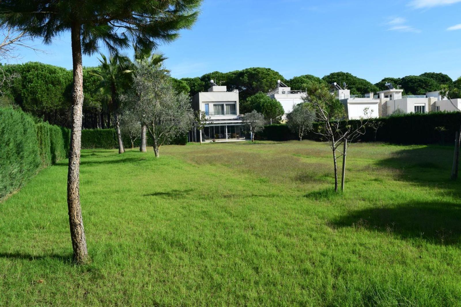 Amorino By The Sea